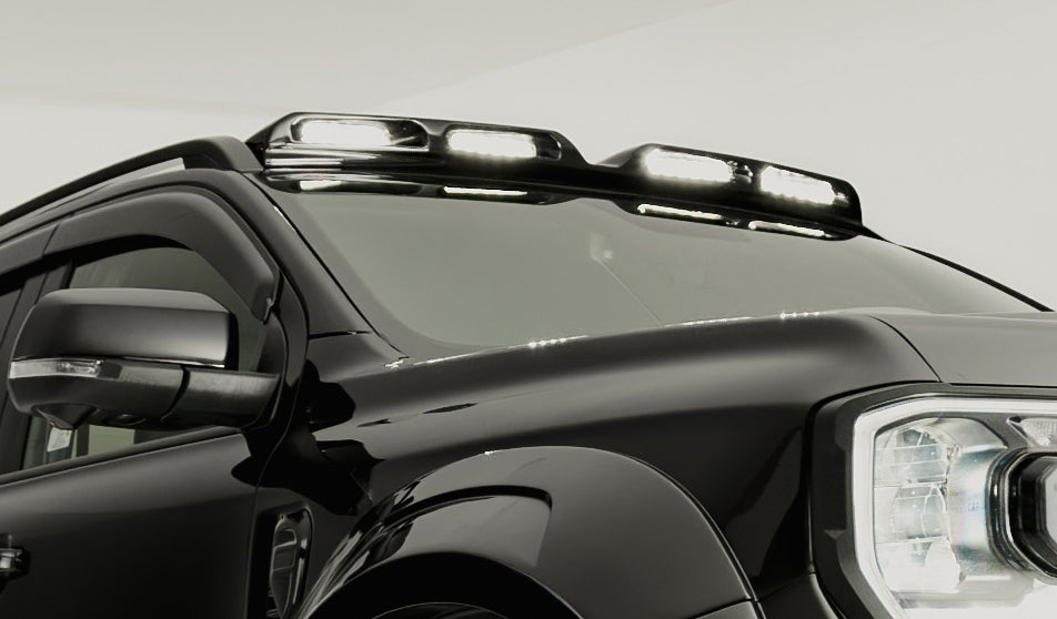 Predator roof light pod